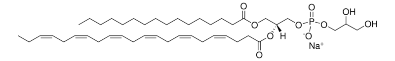 Merck 16:0-22:6 PG