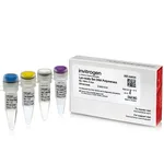 Thermo Fisher Scientific Lyo-ready Bst DNA Polymerase (6 U/μL), 1200 U