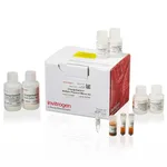 Thermo Fisher Scientific ChargeSwitch NoSpin Plasmid Micro Kit