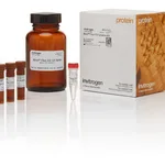 Thermo Fisher Scientific iBind Flex Fluorescent Detection (FD) Solution Kit