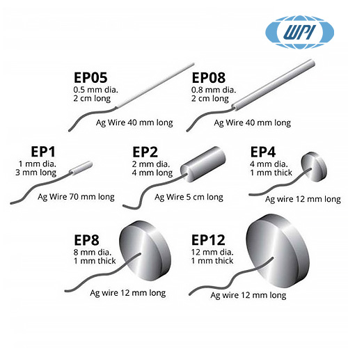 WPI EP8 / Ag/AgCl 전극(Ag/AgCl Electrode), 8.0mm¢x 1mm[1EA]