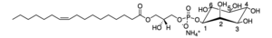 Merck 17:1 LYSO PI