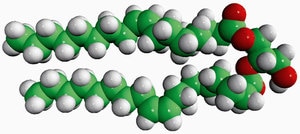 Merck 18:1 DG