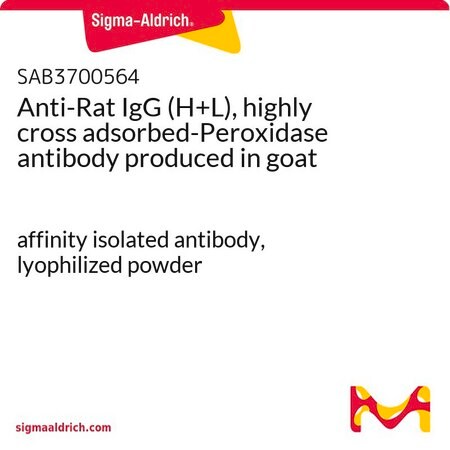 Merck Anti-Rat IgG (H+L), highly cross adsorbed-Peroxidase antibody produced in goat