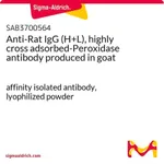 Merck Anti-Rat IgG (H+L), highly cross adsorbed-Peroxidase antibody produced in goat
