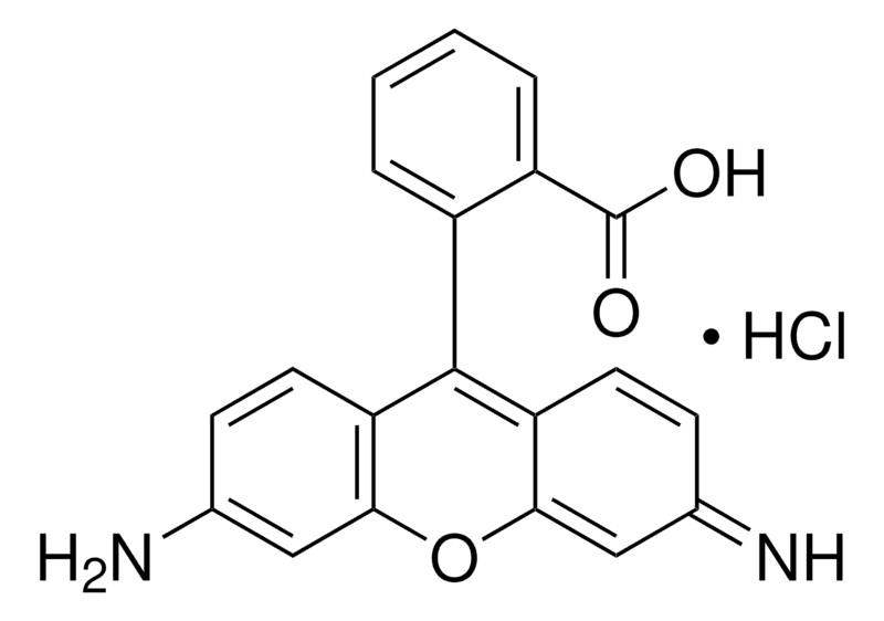 Merck Rhodamine 110 chloride