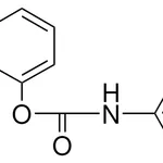 Merck 8-QUINOLYL N-(3-CHLOROPHENYL)CA-