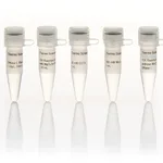 Thermo Fisher Scientific DNase I, RNase-free (supplied with MnCl2) (1 U/μL)