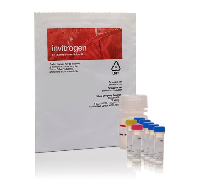 Thermo Fisher Scientific EnzChek Gelatinase/Collagenase Assay Kit, 250-2,000 assays