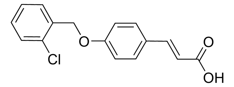 Merck 3-{4-[(2-Chlorobenzyl)oxy]phenyl}-2-propenoic acid