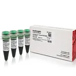 Thermo Fisher Scientific Platinum II Green PCR Buffer (5X)