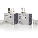 Thermo Fisher Scientific PureQuant Th17 Assay
