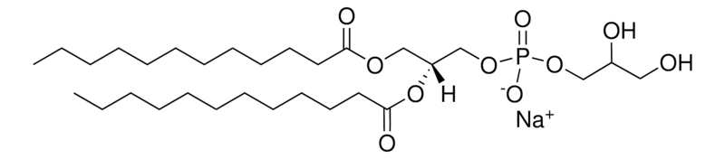 Merck 12:0 PG