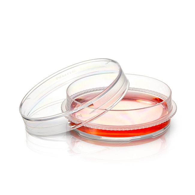 Thermo Fisher Scientific Nunc EasYDish Dishes with Nunclon Supra Surface