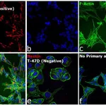 Thermo Fisher Scientific Goat anti-Mouse IgG (H+L) Cross-Adsorbed Secondary Antibody, Cyanine5