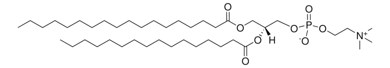 Merck 18:0-16:0 PC