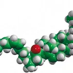 Merck 18:2 TopFluor(R) cholesterol