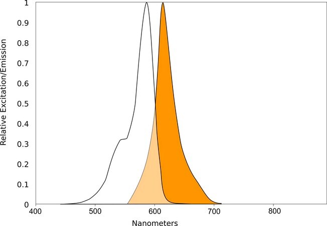 Merck AQUORA® TX595-MALEIMIDE