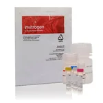 Thermo Fisher Scientific EnzChek Reverse Transcriptase Assay Kit