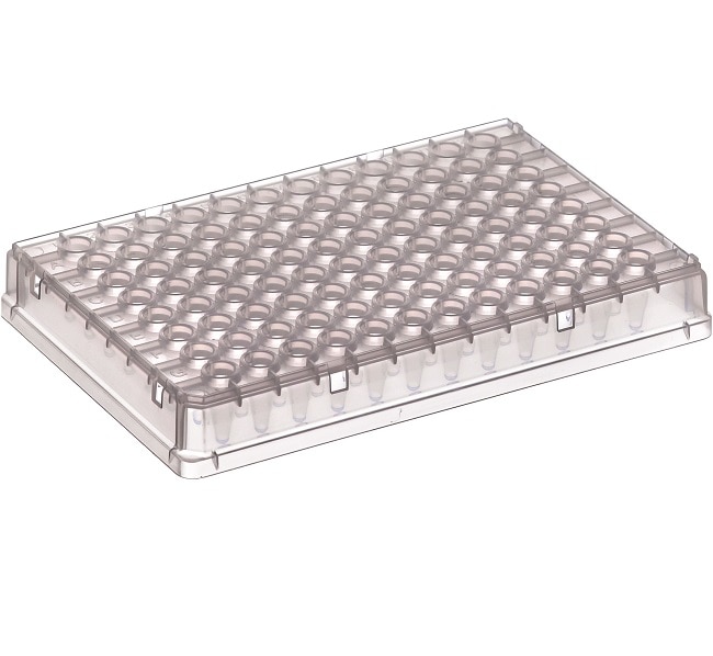 Thermo Fisher Scientific PCR Plate, 96-well, robotic