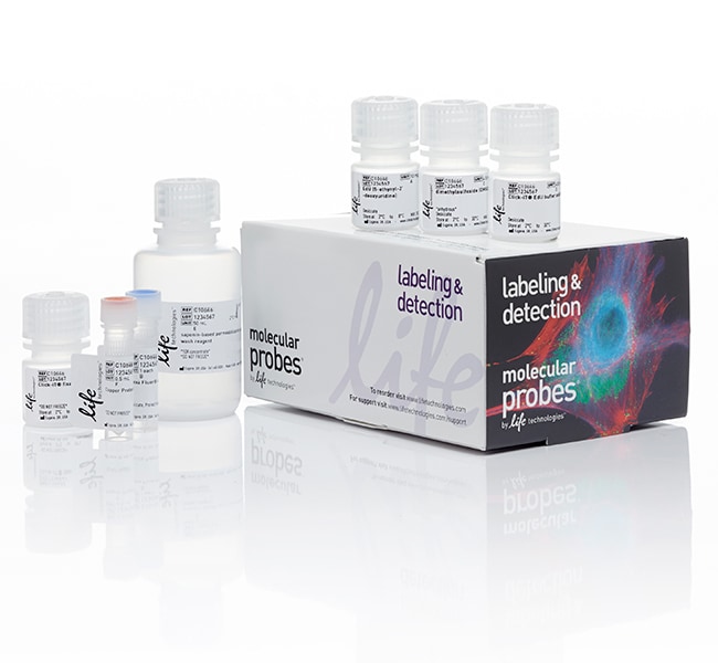 Thermo Fisher Scientific Click-iT Plus EdU Alexa Fluor 594 Flow Cytometry Assay Kit