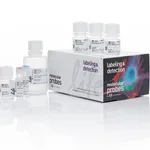 Thermo Fisher Scientific Click-iT Plus EdU Alexa Fluor 594 Flow Cytometry Assay Kit
