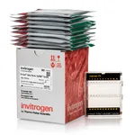 Thermo Fisher Scientific E-Gel with SYBR Safe Mix Pack