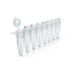 Thermo Fisher Scientific MicroAmp 8-Tube Strip with Attached Domed Caps, 0.2 mL