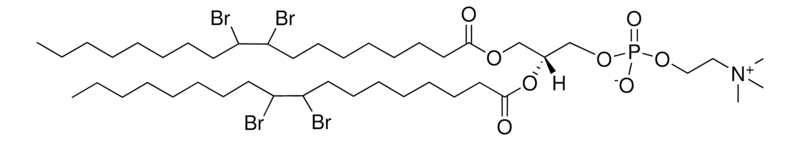 Merck 18:0 (9,10dibromo) PC