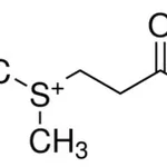 Merck DIMETHYLPROPIOTHETIN HYDROCHLORIDE, ANA&