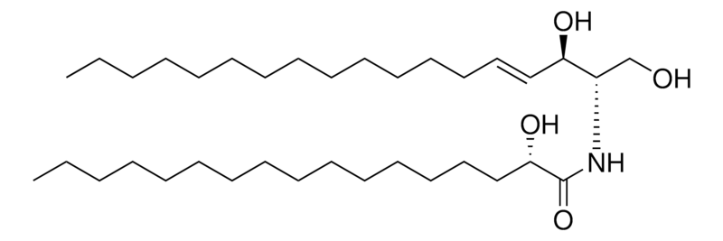 Merck 17:0(2S-OH) Ceramide