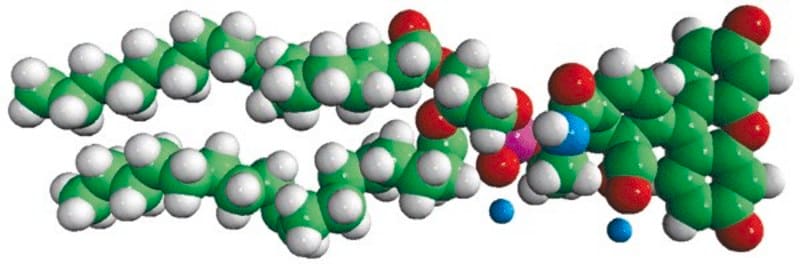 Merck 18:1 PE CF