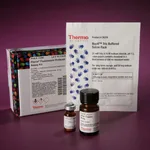 Thermo Fisher Scientific Pierce Fluorescent Protease Assay Kit