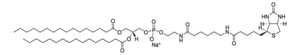 Merck 16:0 BIOTINYL CAP PE