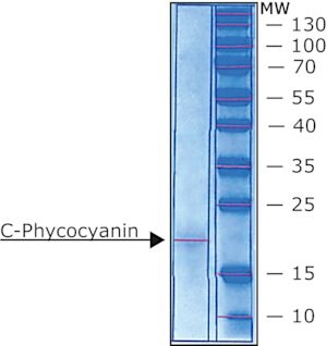 Merck C-PHYCOCYANIN PARTIALLY PURIFIED FROM SP