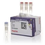 Thermo Fisher Scientific Phusion High-Fidelity DNA Polymerase (2 U/μL), 500 units