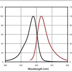 Merck Anti-Sheep IgG (H+L), highly cross-adsorbed, CF(TM) 488A antibody produced in donkey