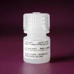 Thermo Fisher Scientific Pierce Protein G Plus Agarose, 2 mL