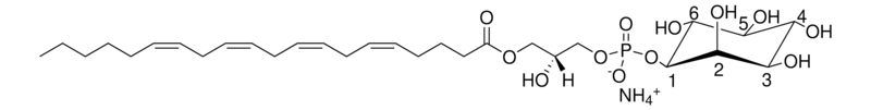 Merck 20:4 Lyso PI