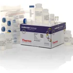 Thermo Fisher Scientific GeneJET Plasmid Maxiprep Kit, 10 preps