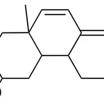 Merck TRANS-2,3,4,4A,4B,5,6,7,8,8A-D - 50 MG&