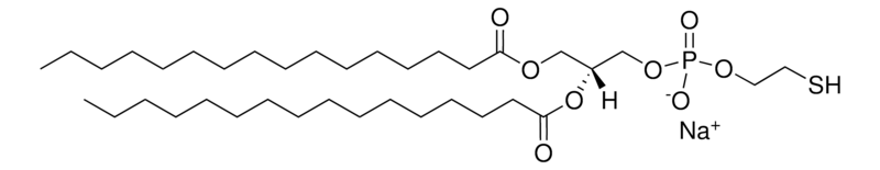 Merck 16:0 Ptd Thioethanol