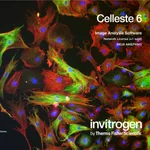 Thermo Fisher Scientific Celleste 6 Image Analysis Software, network license, one seat