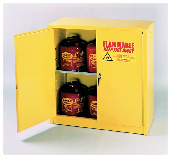 Thermo Fisher Scientific Flammable Liquid Safety Storage Cabinet, Door Type: Manual; Capacity: 45 gal. (170L)