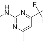 Merck 2-(ETHYLAMINO)-4-METHYL-6-(TRI - 50 MG&