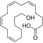 Merck 20-HYDROXY-(5Z,8Z,11Z,14Z)- EICOSATETRAE