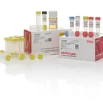 Thermo Fisher Scientific TOPO TA Cloning Kit, with One Shot MAX Efficiency DH5α-T1<sup>R</sup> E. coli, 25 Reactions
