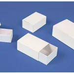 Thermo Fisher Scientific Rectangular Storage Boxes, 2.25 x 1.25 x 1.06 in.