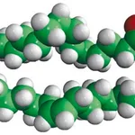 Merck 16:0-18:1 DG