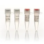 Thermo Fisher Scientific T4 DNA Ligase, LC (1 U/μL)